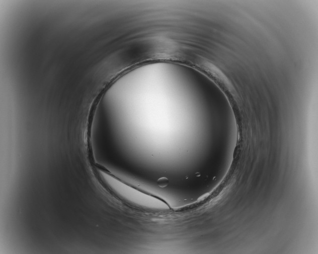 X0000088690938200706071517