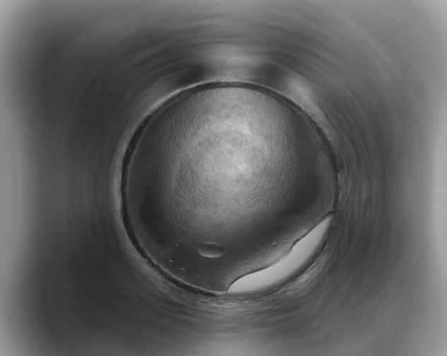 X0000088690939200706071517