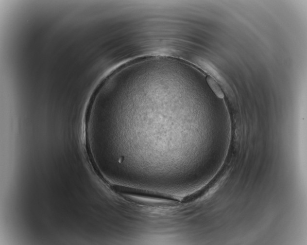 X0000088690940200706071517