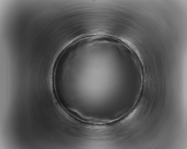 X0000088690941200706071517