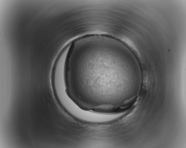 X0000088690942200706071517