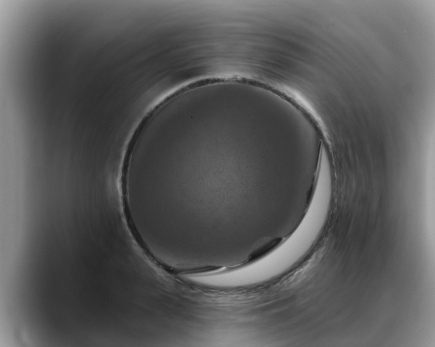 X0000088690943200706071517