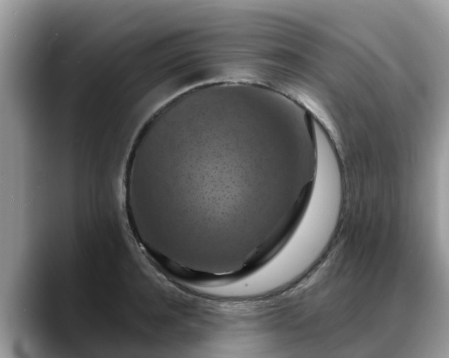 X0000088690944200706071517