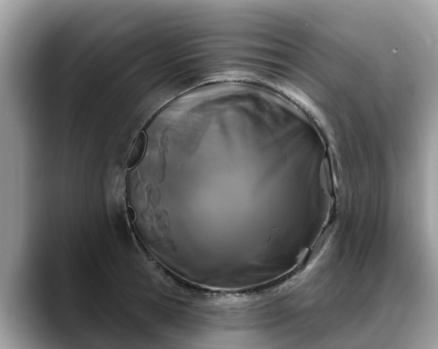 X0000088690945200706071517