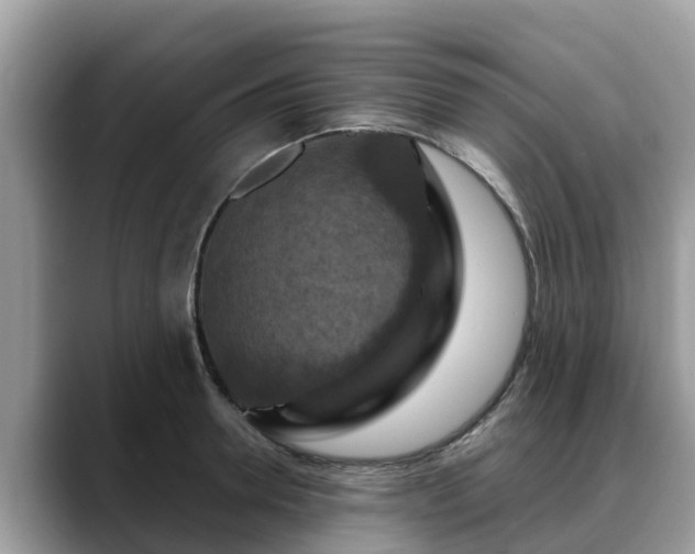 X0000088690946200706071517