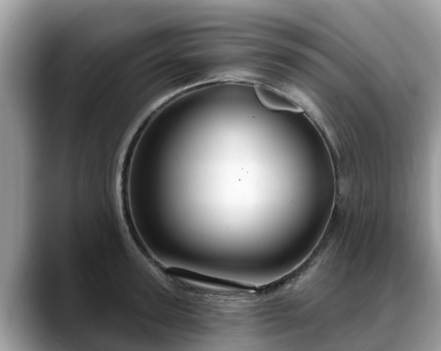 X0000088690947200706071517