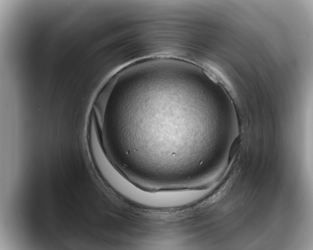 X0000088690948200706071517
