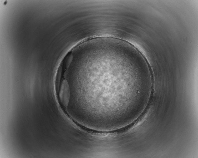 X0000088690949200706071517