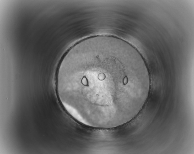 X0000088690950200706071517