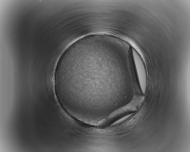 X0000088690951200706071517