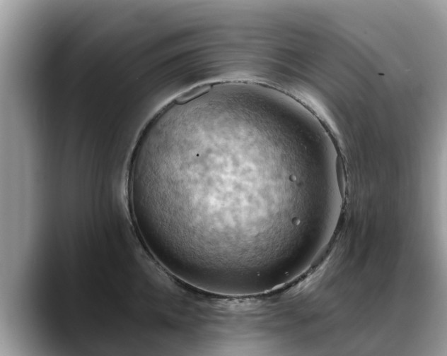 X0000088690952200706071517