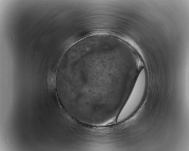 X0000088690953200706071517
