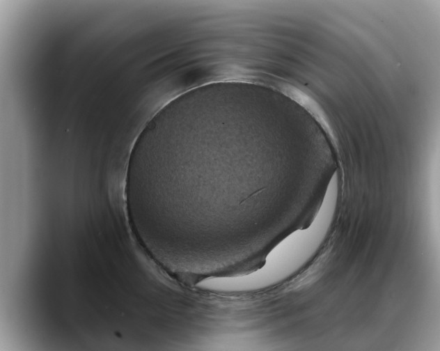 X0000088690954200706071517
