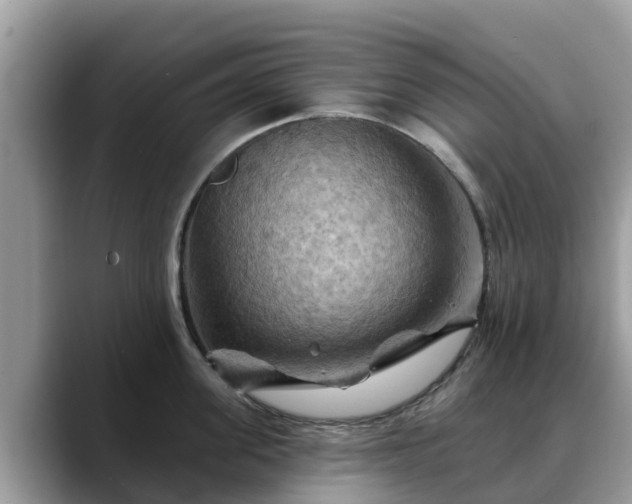 X0000088690955200706071517