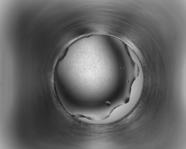 X0000088690956200706071517