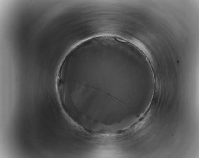 X0000088690958200706071517
