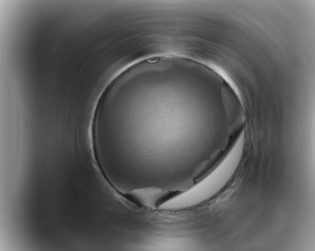 X0000088690959200706071517