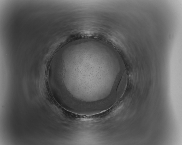 X0000088690961200706071516
