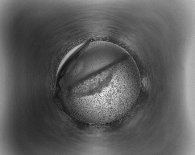 X0000088690963200706071516