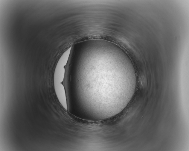 X0000088690964200706071516