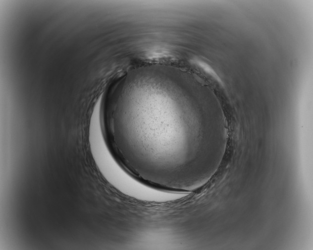 X0000088690965200706071516