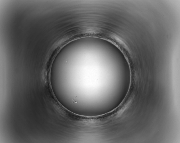 X0000088690970200706071516