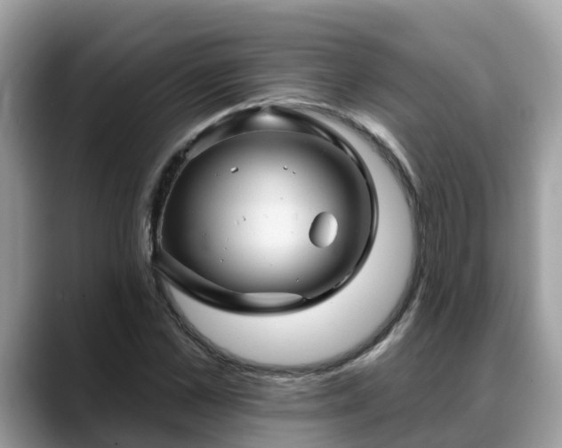 X0000088690973200706071516