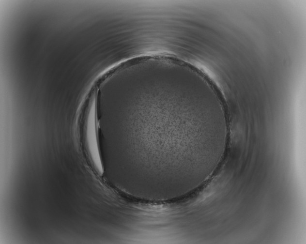 X0000088690975200706071516