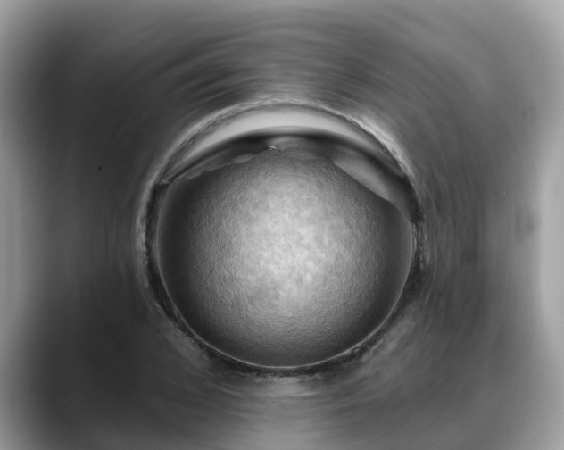 X0000088690976200706071516