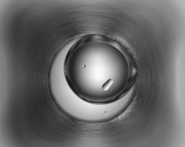 X0000088690977200706071516
