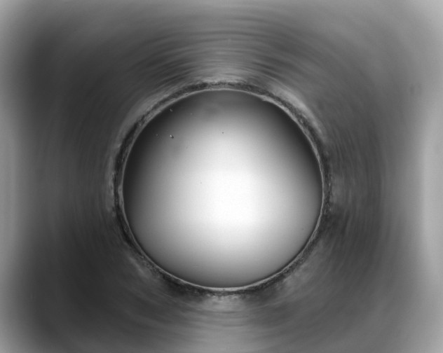 X0000088690978200706071516