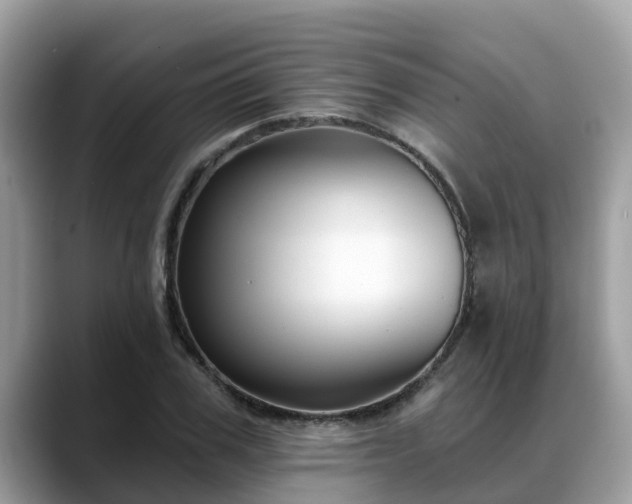 X0000088690979200706071516