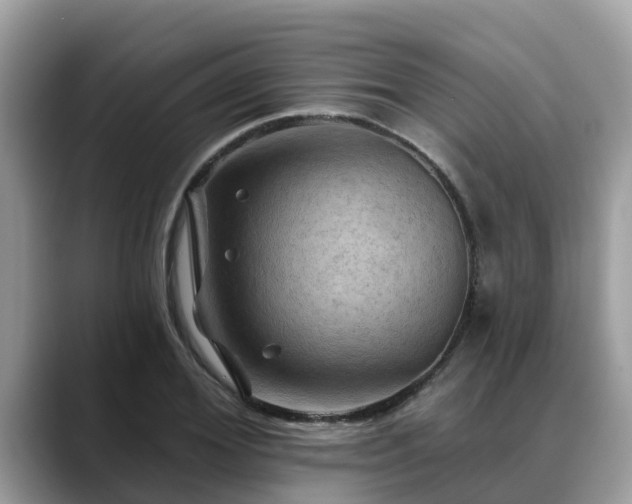 X0000088690980200706071516