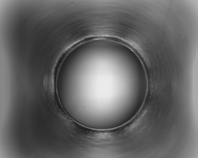 X0000088690982200706071516