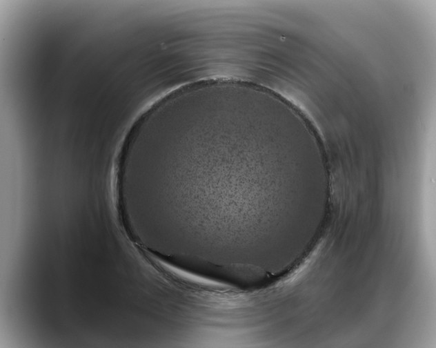 X0000088690983200706071516