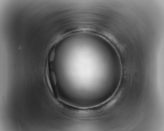 X0000088690985200706071516