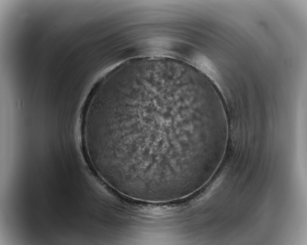 X0000088690987200706071516