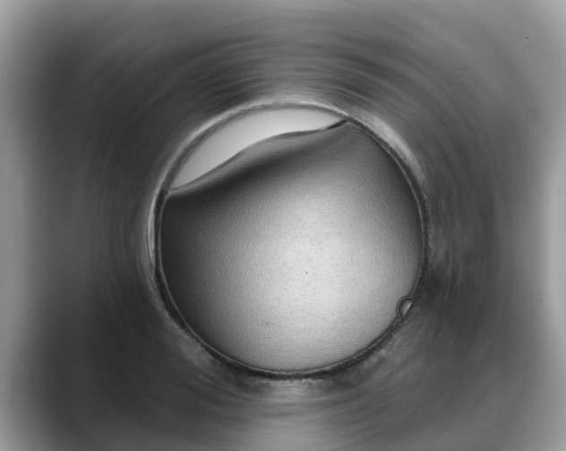 X0000088690988200706071516