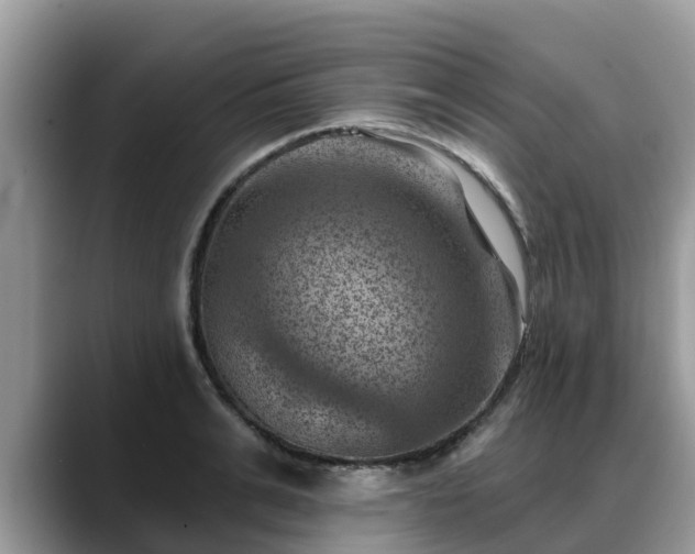 X0000088690991200706071516