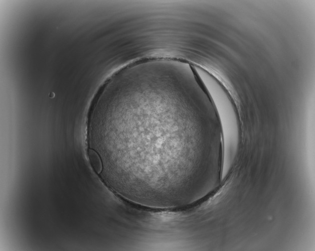 X0000088690992200706071516