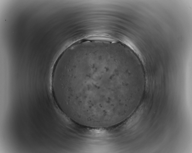 X0000088690994200706071516