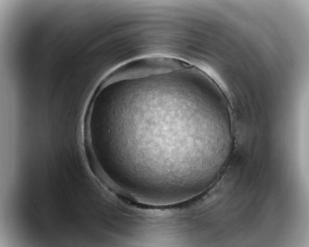 X0000088690996200706071516