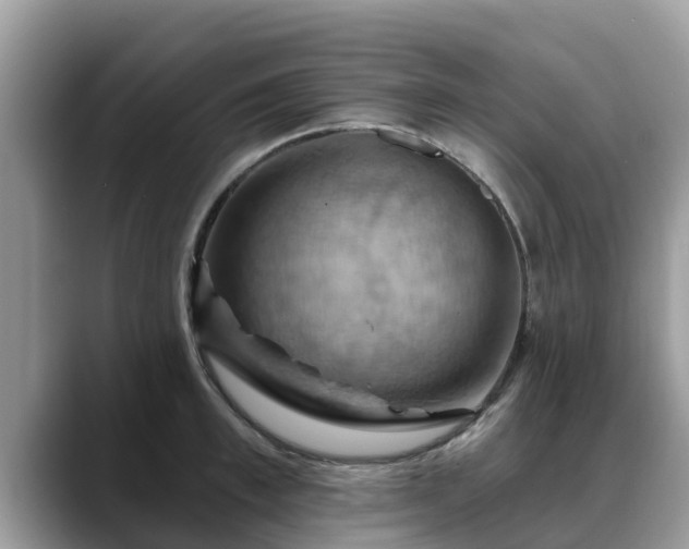 X0000088690997200706071516