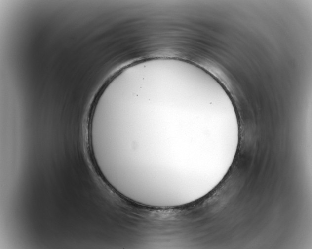 X0000088691000200706071516