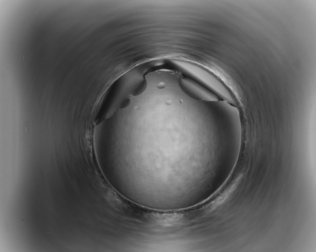X0000088691001200706071516