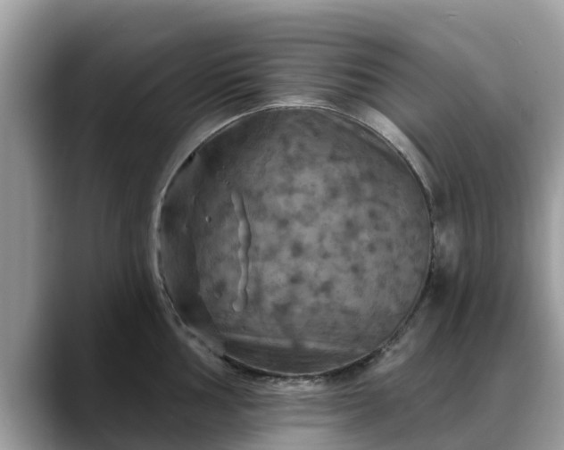 X0000088691002200706071516