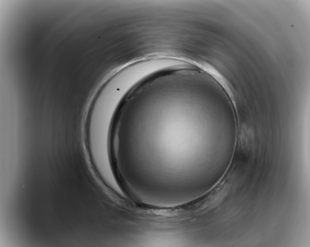 X0000088691005200706071516