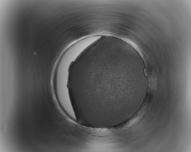 X0000088691007200706071516