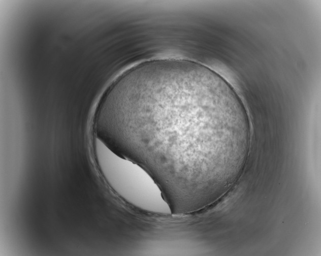 X0000088691008200706071516
