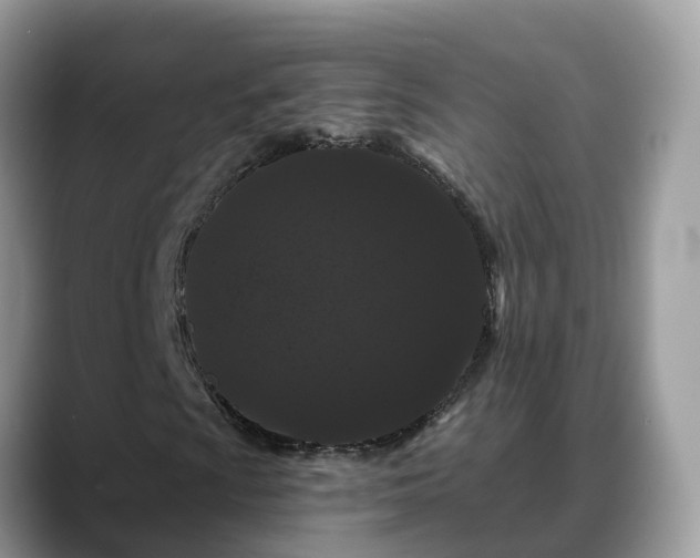 X0000088691009200706071515